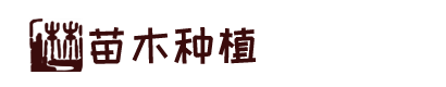 凯发k8旗舰厅
